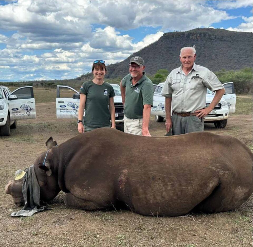 Every Rhino has a story - And so do we
