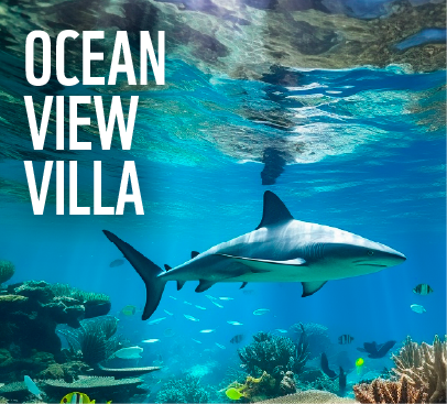 Ocean view villa image