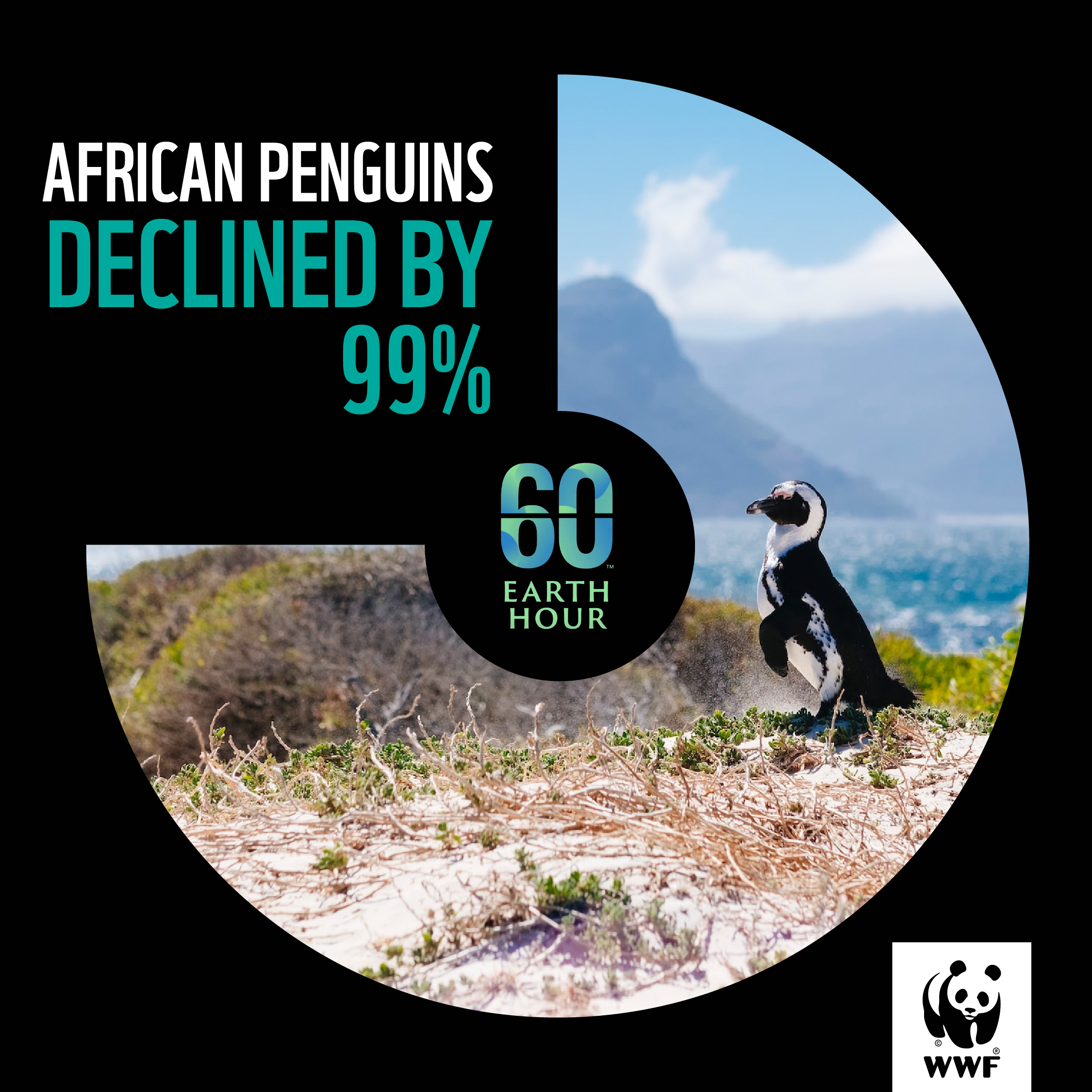 WWF - Earth Hour - Social Media Posts_1080x1080_v01-02