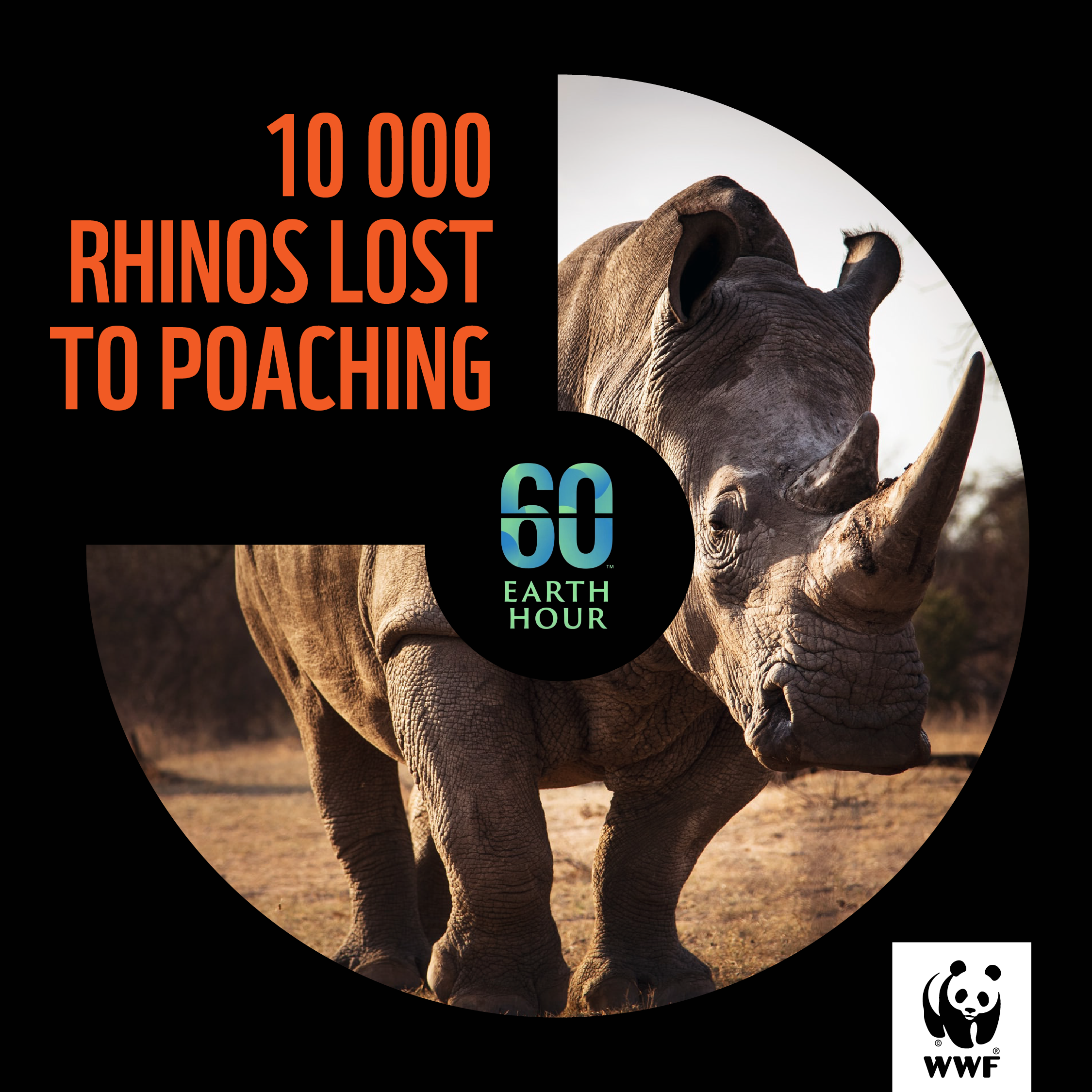 WWF - Earth Hour - Social Media Posts_1080x1080_v01-05