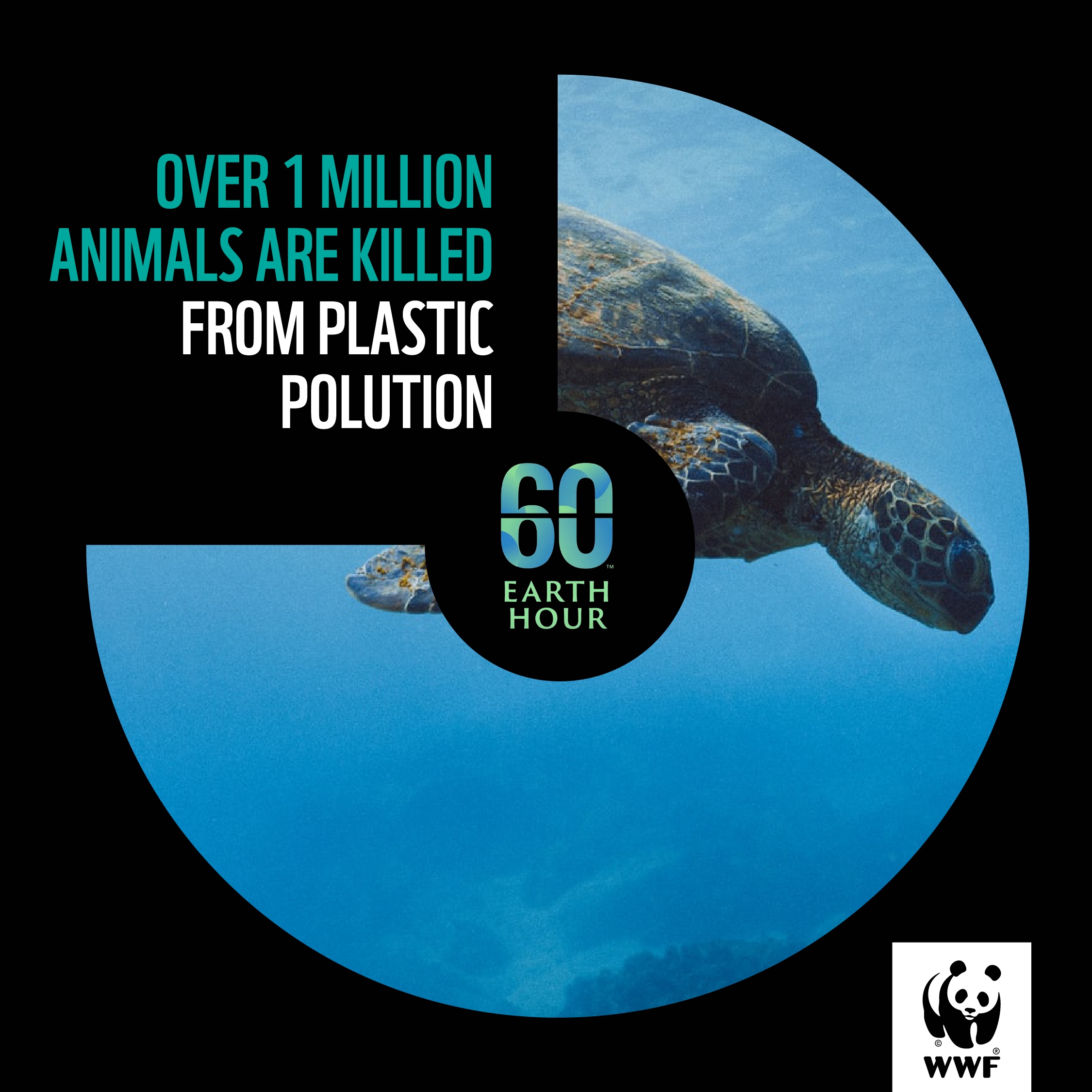 WWF - Earth Hour - Social Media Posts_1080x1080_v01-08