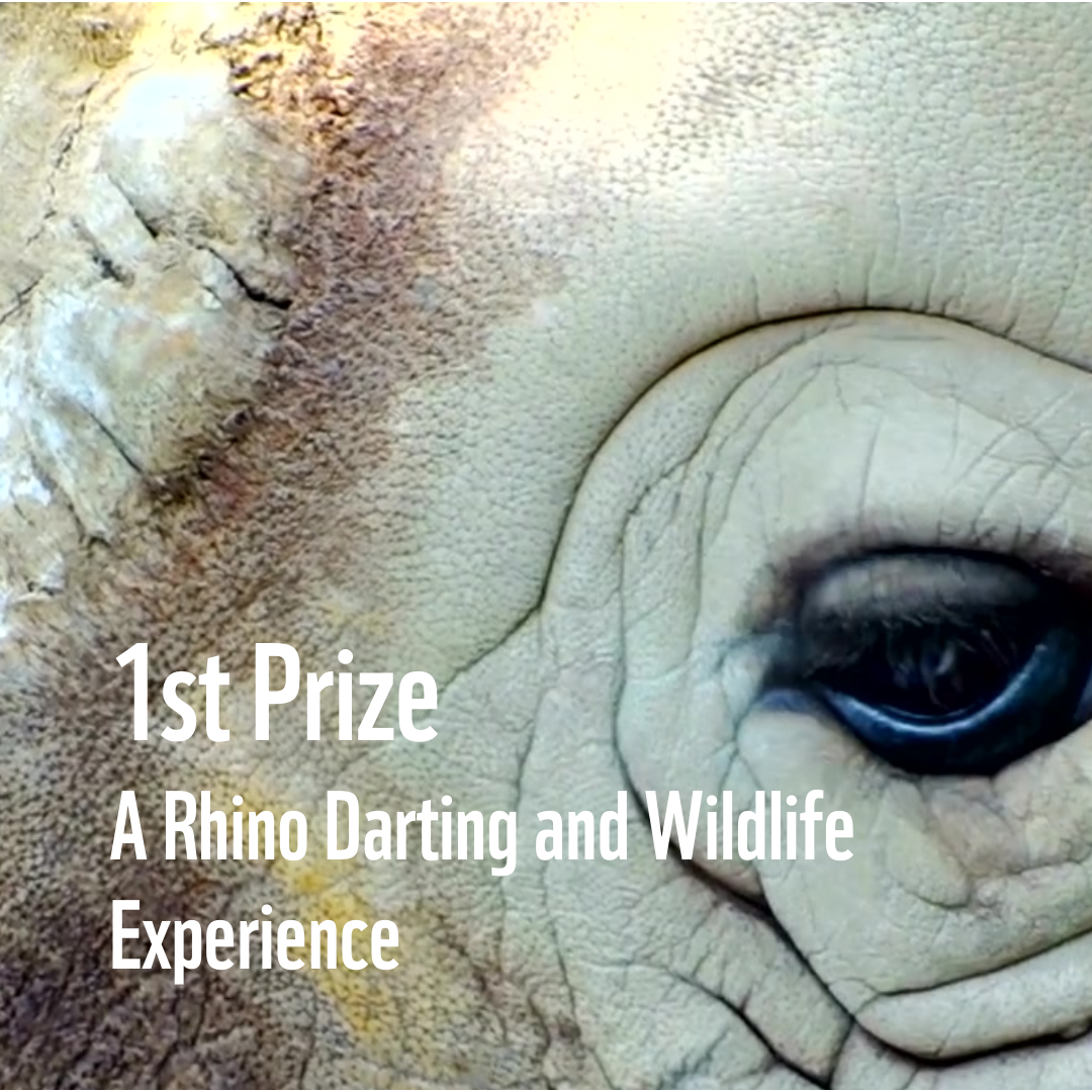 WWF Wildlife Competition-Final